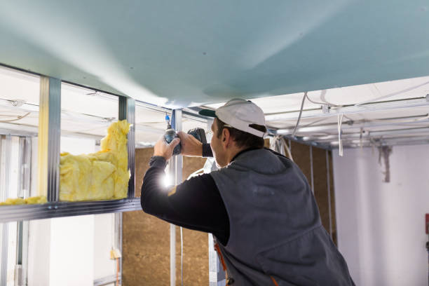 Best Geographic-Specific Insulation Services in Beale Af, CA