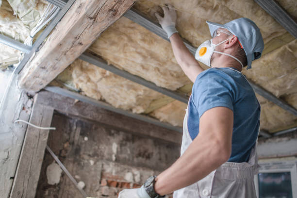 Types of Insulation We Offer in Beale Af, CA