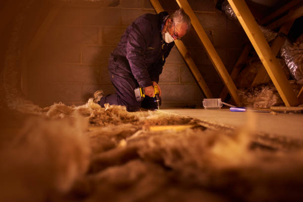 Best Eco-Friendly Insulation in Beale Af, CA